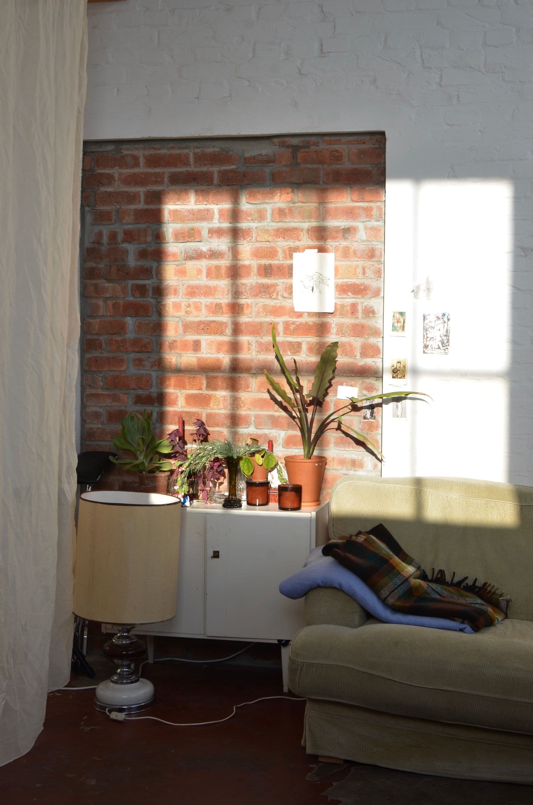 A sunlit living room with an armchair, a lamp and house plants.